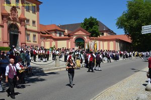 nik_044784_vz01_vvifbzfcfv.jpg