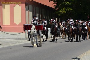 nik_044793_vz01_tbphyhfwct.jpg