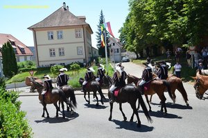 nik_044807_vz01_zmnrluhilo.jpg