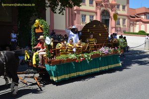 nik_044855_vz01_gcqelwwoen.jpg