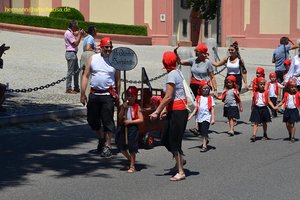 nik_044866_vz01_kplyludfnj.jpg
