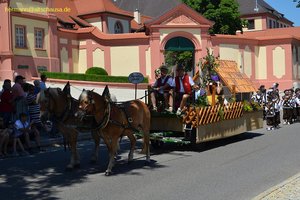 nik_044956_vz01_coyabfervr.jpg