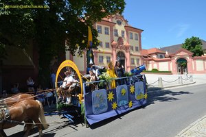 nik_044967_vz01_nzdlpitxlg.jpg
