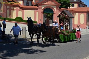nik_045004_vz01_zcjszhoxyk.jpg