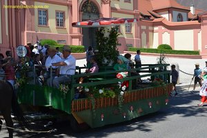 nik_045011_vz01_brczklfmjs.jpg
