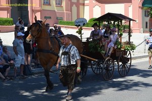 nik_045038_vz01_ppkxtubcnc.jpg