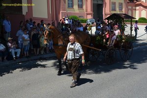 nik_045039_vz01_fzqycuzcrp.jpg