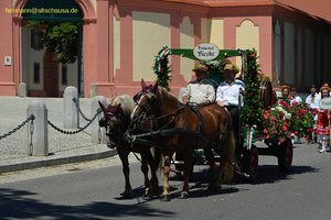 nik_045109_vz01_rghauxdynx.jpg