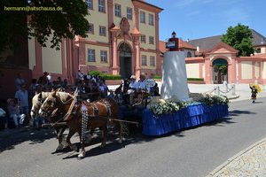 nik_045126_vz01_wefebopfed.jpg