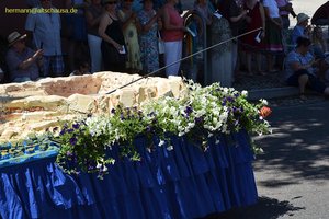 nik_045127_vz01_kotfgswfzo.jpg