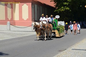 nik_045141_vz01_omjgboxgdy.jpg