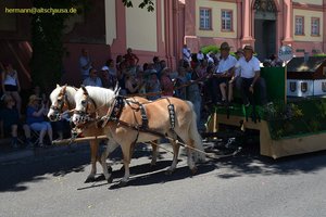 nik_045146_vz01_oxpiiamwtv.jpg