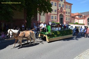 nik_045147_vz01_vlwpfqyzay.jpg