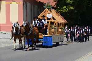 nik_045150_vz01_ilvhhsvrmj.jpg