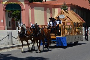 nik_045152_vz01_auzmdmzptv.jpg