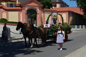 nik_045178_vz01_pevbfzbeja.jpg
