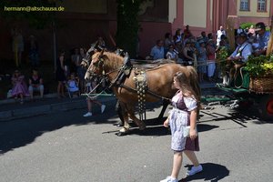 nik_045181_vz01_ovssllhjbu.jpg