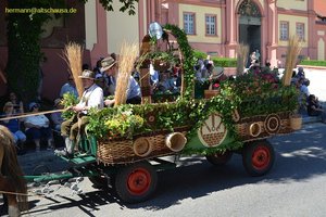 nik_045182_vz01_sofrltazqw.jpg