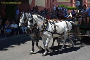 nik_045186_vz01_izwaigocsq.jpg