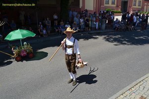 nik_045251_vz01_kamkmtjcvt.jpg