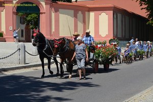 nik_045312_vz01_krwkagcbot.jpg