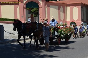 nik_045313_vz01_xugibkjjtr.jpg