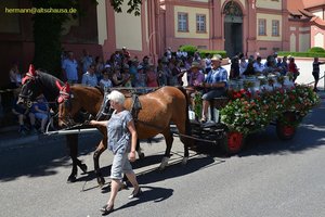 nik_045315_vz01_xvbwtirieq.jpg