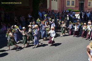 nik_045323_vz01_vpfrcafahv.jpg