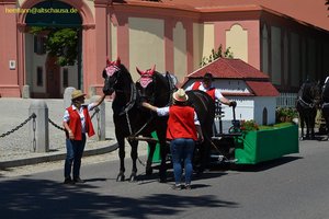 nik_045337_vz01_blzfqdcfmb.jpg