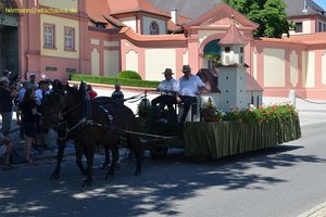 nik_045342_vz01_blzhtcxlod.jpg