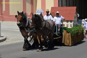 nik_045343_vz01_gnjrgagfsv.jpg