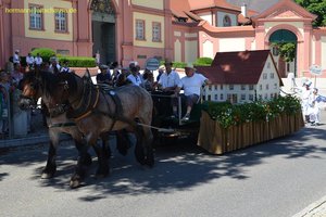 nik_045345_vz01_ujiqducjak.jpg