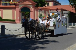 nik_045360_vz01_rvzqegztyu.jpg