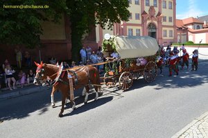 nik_045437_vz01_dycpzrtzll.jpg