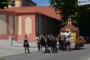 nik_045516_vz01_faotvsudir.jpg