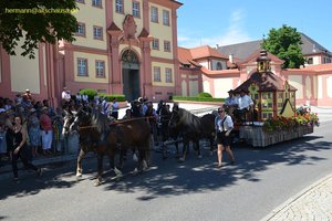 nik_045522_vz01_bkspmkpkfj.jpg