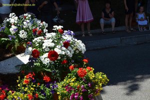 nik_045528_vz01_ygkvydwwjg.jpg