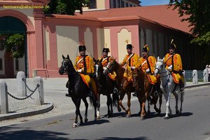 nik_045531_vz01_hojuibizfd.jpg