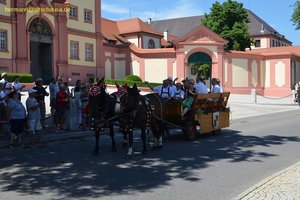 nik_045555_vz01_bsgpriaoha.jpg