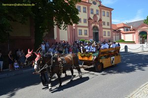 nik_045557_vz01_wfdilkryva.jpg