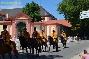 nik_045562_vz01_aildzxntpj.jpg
