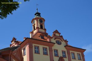 nik_045572_vz01_cgtumgidae.jpg
