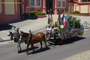 nik_059133_vz01_hermann.at.altschausa.de_1024_cjfzkbmdma