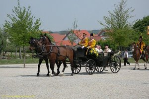 pen_009018_aghuxiex.jpg